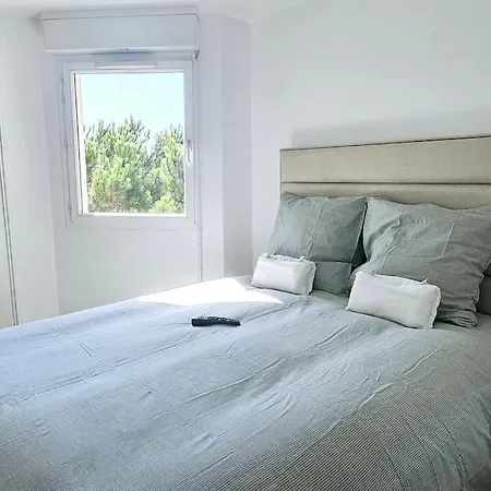 L'elegant 3p, 2ch, 2sdb, Clim, Wifi Gratuit, Parking Prive Apartment *